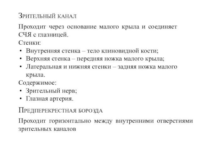 Зрительный канал Проходит через основание малого крыла и соединяет СЧЯ с глазницей.