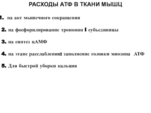 на акт мышечного сокращения 2. на фосфорилирование тропонин I субъединицы 3. на