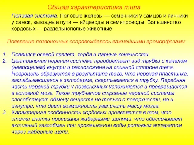 Общая характеристика типа Половая система. Половые железы — семенники у самцов и