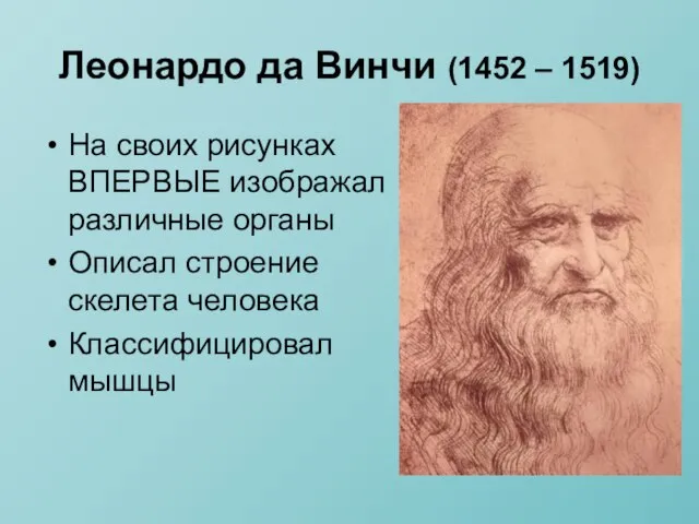 Леонардо да Винчи (1452 – 1519) На своих рисунках ВПЕРВЫЕ изображал различные