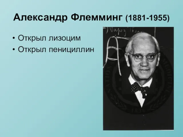 Александр Флемминг (1881-1955) Открыл лизоцим Открыл пенициллин