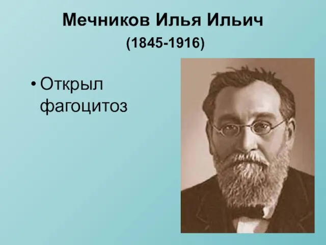 Мечников Илья Ильич (1845-1916) Открыл фагоцитоз