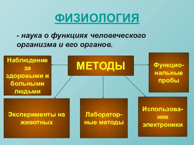 ФИЗИОЛОГИЯ - наука о функциях человеческого организма и его органов. МЕТОДЫ Наблюдение