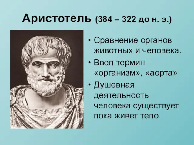 Аристотель (384 – 322 до н. э.) Сравнение органов животных и человека.