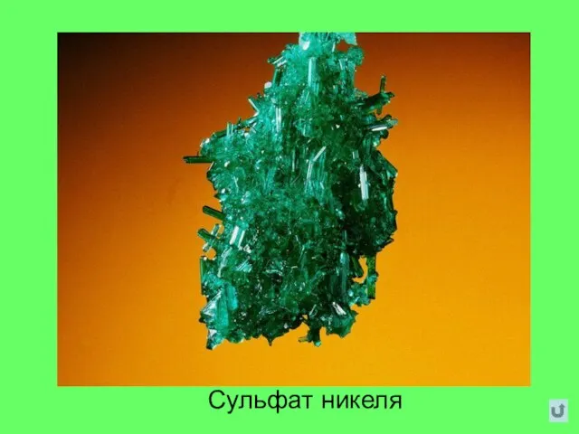 Сульфат никеля