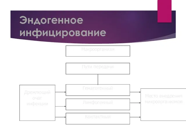 Эндогенное инфицирование