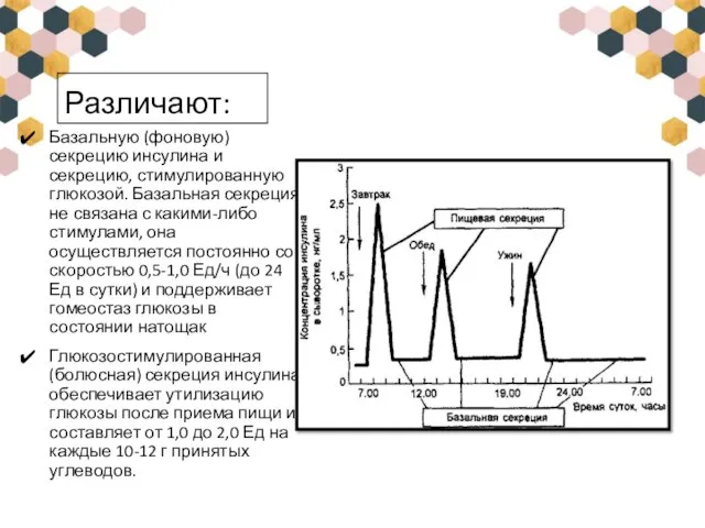 Различают: Базальную (фоновую) секрецию инсулина и секрецию, стимулированную глюкозой. Базальная секреция не