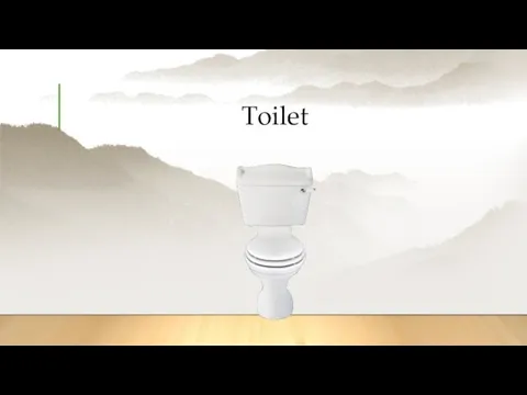 Toilet