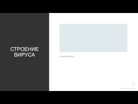 The Power of PowerPoint - thepopp.com СТРОЕНИЕ ВИРУСА СТРОЕНИЕ ВИРУСА