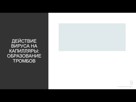 The Power of PowerPoint - thepopp.com ДЕЙСТВИЕ ВИРУСА НА КАПИЛЛЯРЫ: ОБРАЗОВАНИЕ ТРОМБОВ