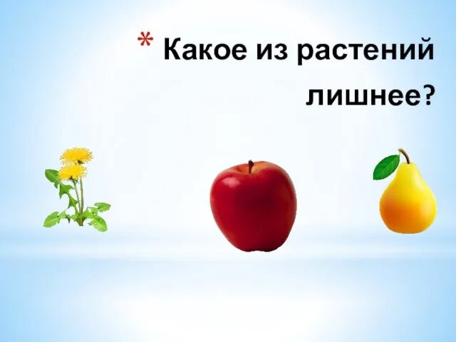 Какое из растений лишнее?