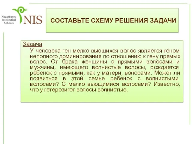 Задача У человека ген мелко вьющихся волос является геном неполного доминирования по