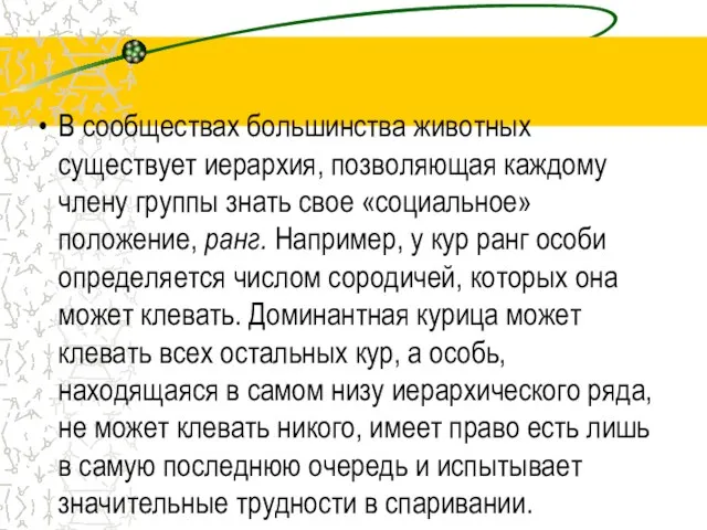 В сообществах большинства животных существует иерархия, позволяющая каждому члену группы знать свое