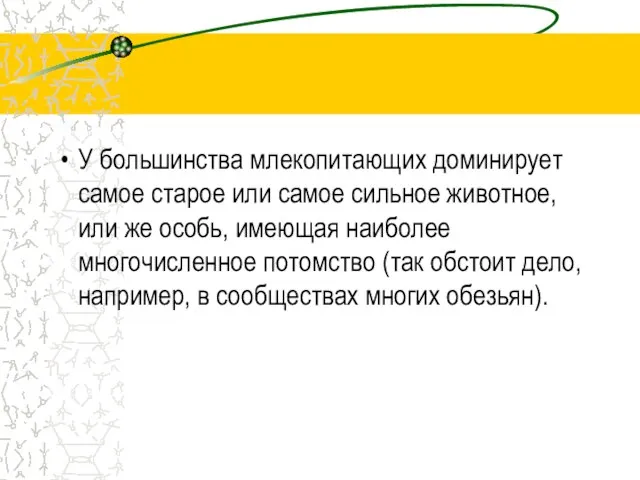 У большинства млекопитающих доминирует самое старое или самое сильное животное, или же