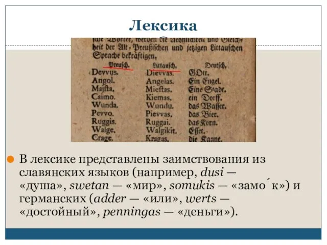 Лексика В лексике представлены заимствования из славянских языков (например, dusi — «душа»,