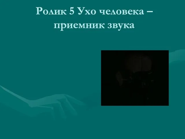 Ролик 5 Ухо человека – приемник звука