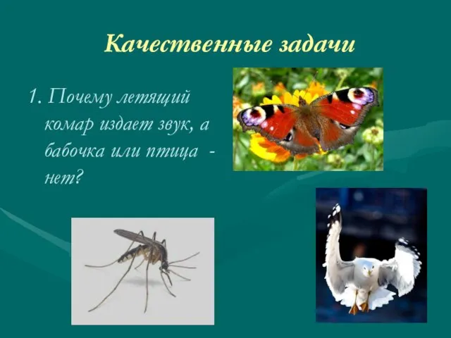 Качественные задачи 1. Почему летящий комар издает звук, а бабочка или птица - нет?