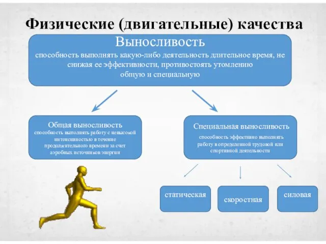 Физические (двигательные) качества Выносливость способность выполнять какую-либо деятельность длительное время, не снижая