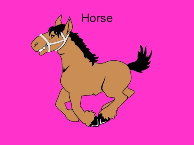 Horse