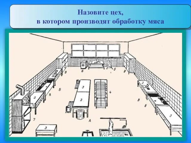 Назовите цех, в котором производят обработку мяса