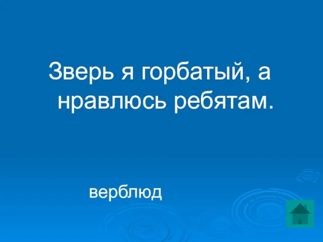 Зверь я горбатый, а нравлюсь ребятам. верблюд