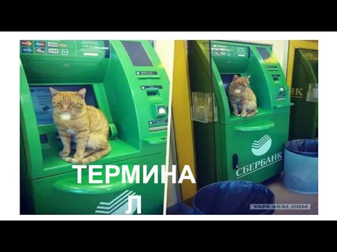 ТЕРМИНАЛ