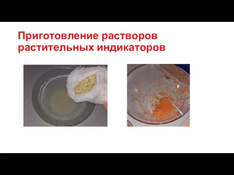 Приготовление растворов растительных индикаторов