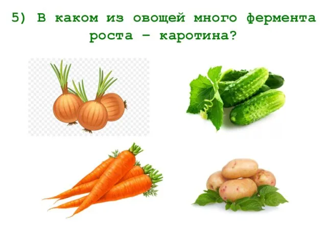 5) В каком из овощей много фермента роста – каротина?