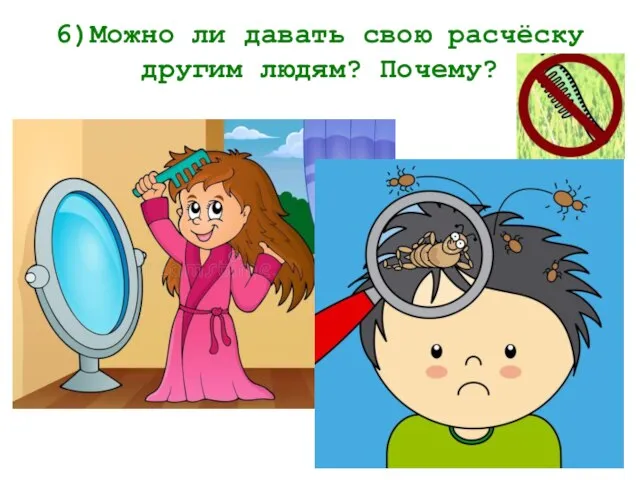 6)Можно ли давать свою расчёску другим людям? Почему?