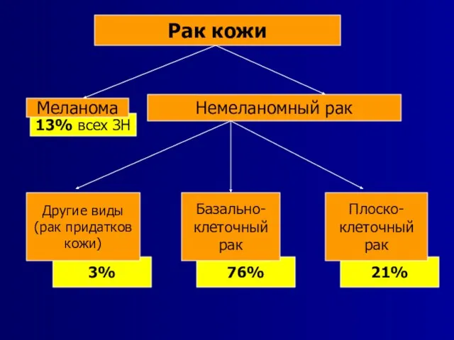 21% 76% 3% Рак кожи Другие виды (рак придатков кожи) 13% всех