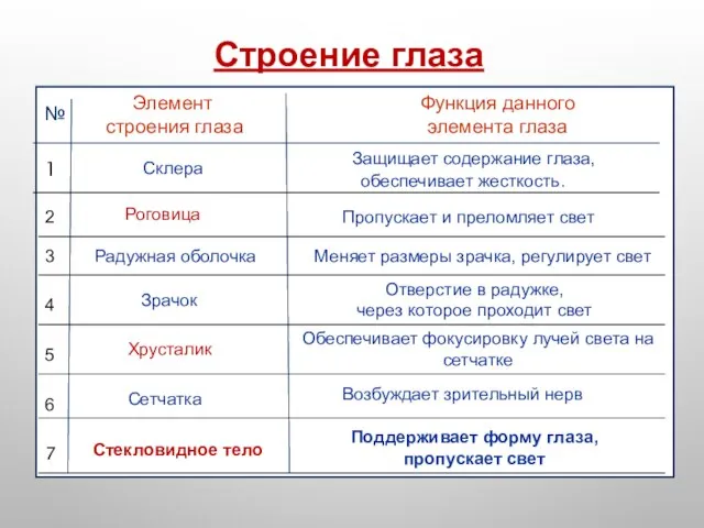 Строение глаза № Элемент строения глаза Функция данного элемента глаза Склера Защищает