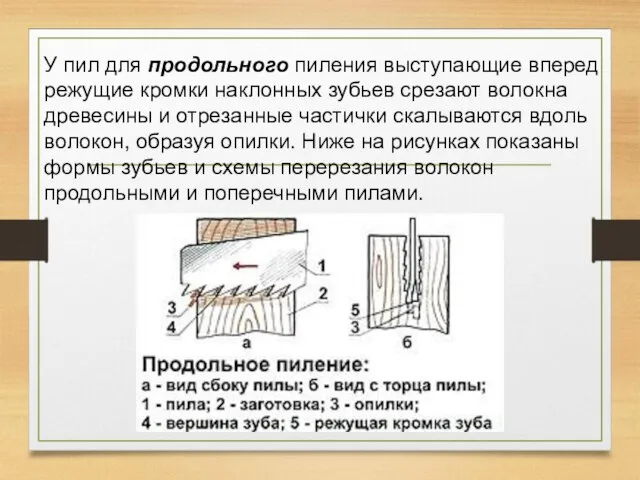 У пил для продольного пиления выступающие вперед режущие кромки наклонных зубьев срезают