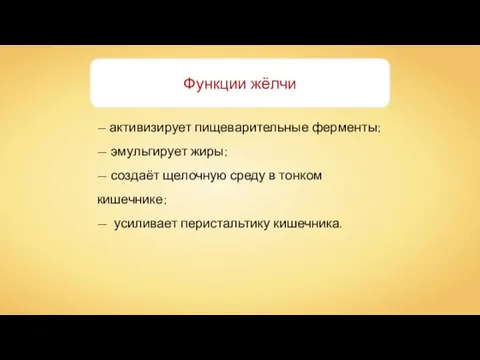 — активизирует пищеварительные ферменты; — эмульгирует жиры; — создаёт щелочную среду в