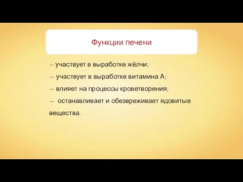 — участвует в выработке жёлчи; — участвует в выработке витамина А; —