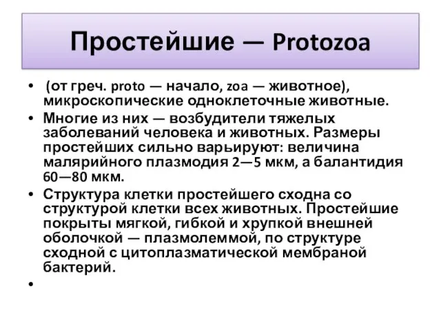 Простейшие — Protozoa (от греч. proto — начало, zoa — животное), микроскопические