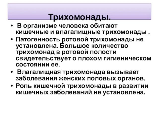 Трихомонады. В организме человека обитают кишечные и влагалищные трихомонады . Патогенность ротовой