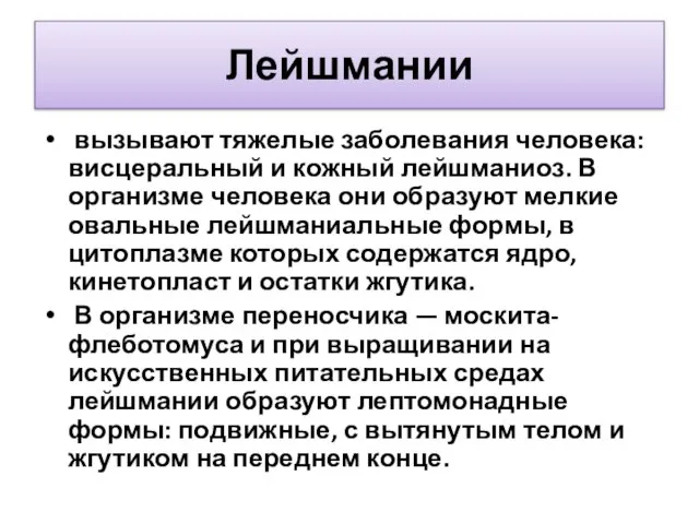 Лейшмании вызывают тяжелые заболевания человека: висцеральный и кожный лейшманиоз. В организме человека