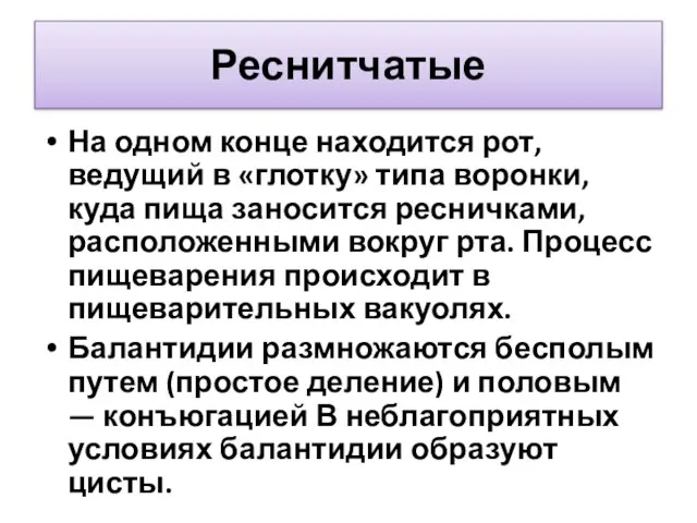 Реснитчатые На одном конце находится рот, ведущий в «глотку» типа воронки, куда