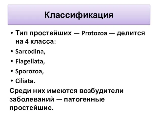 Классификация Тип простейших — Protozoa — делится на 4 класса: Sarcodina, Flagellata,