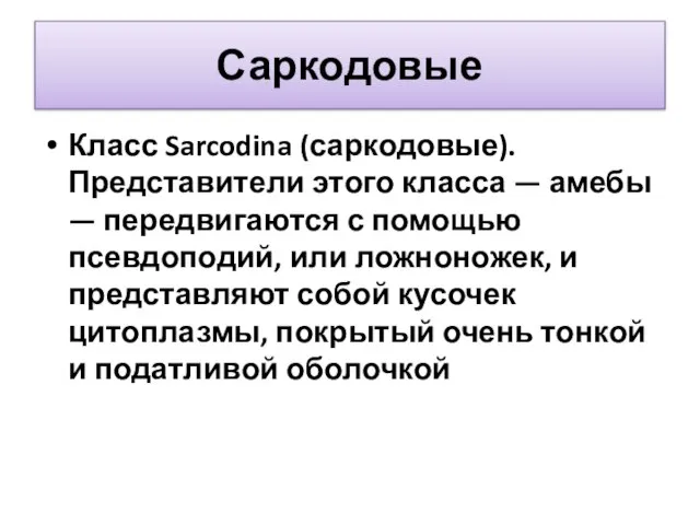 Саркодовые Класс Sarcodina (саркодовые). Представители этого класса — амебы — передвигаются с