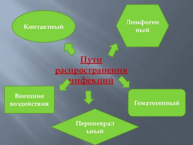 Пути распространения инфекций Контактный Гематогенный Периневральный Внешние воздействия Лимфогенный