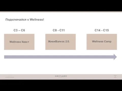 Подключайся к Wellness! Wellness Квест ЖивиВэлнэс 2.0. Wellness Camp С3 – С6