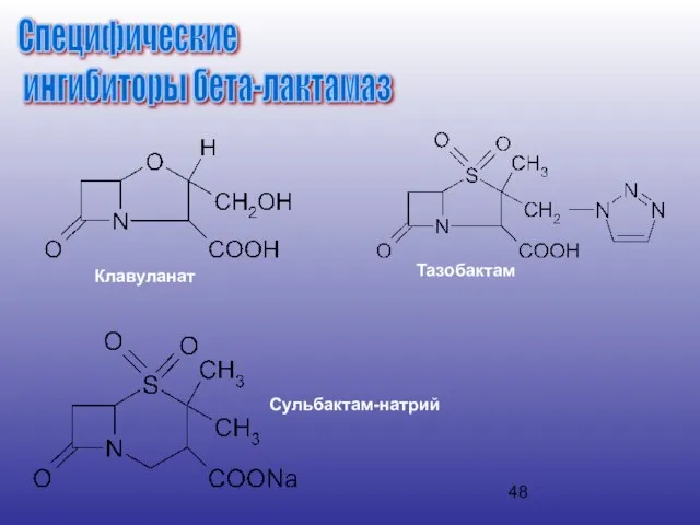 Специфические ингибиторы бета-лактамаз Клавуланат Тазобактам Сульбактам-натрий