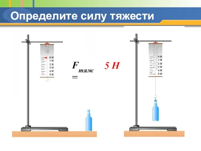 Определите силу тяжести Fтяж= 5 Н