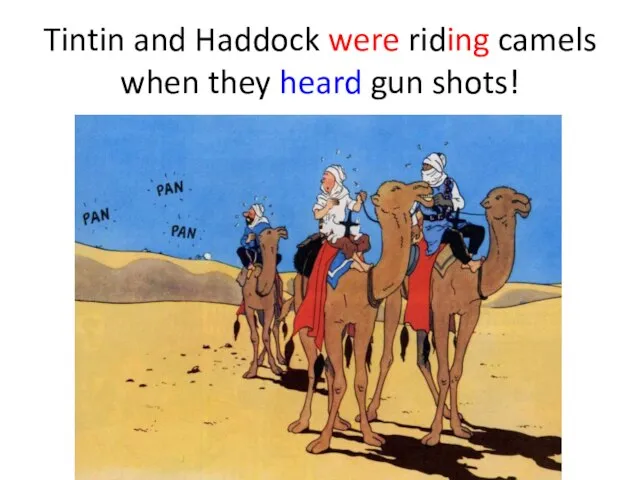 Tintin and Haddock were riding camels when they heard gun shots!
