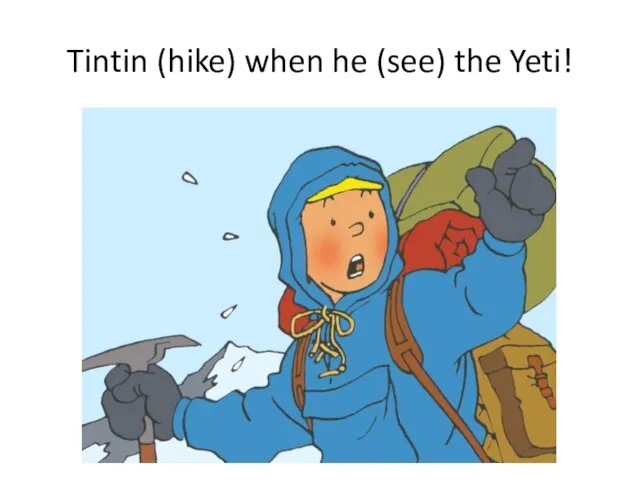 Tintin (hike) when he (see) the Yeti!