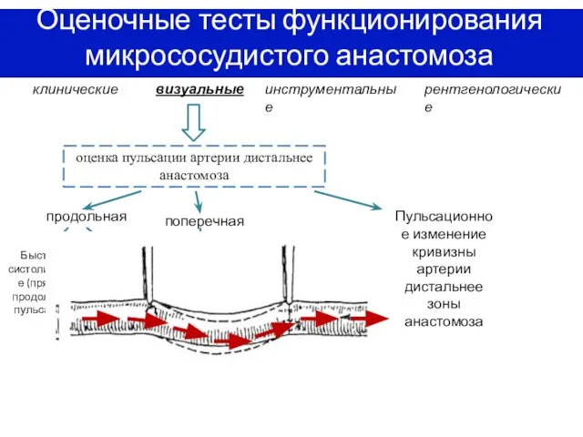 Оценочные тесты функционирования микрососудистого анастомоза клинические визуальные инструментальные рентгенологические оценка пульсации артерии