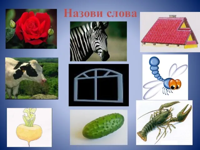 Назови слова