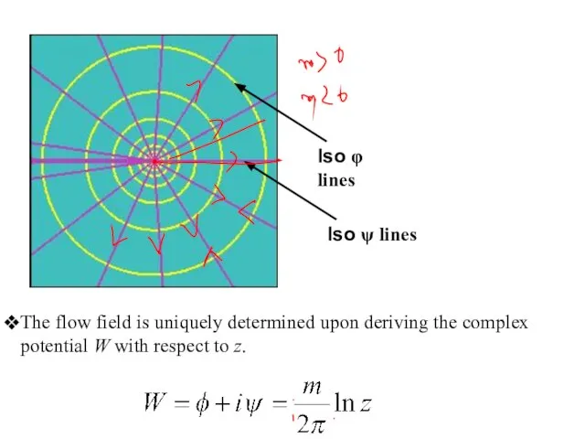 The flow field is uniquely determined upon deriving the complex potential W