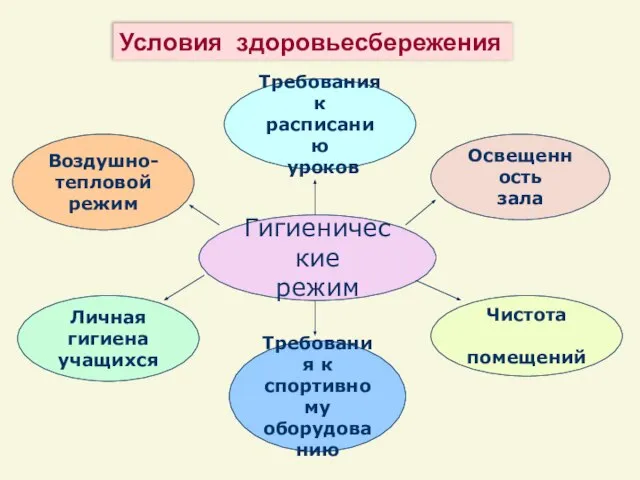 Гигиенические режим Требования к спортивному оборудованию Освещенность зала Требования к расписанию уроков